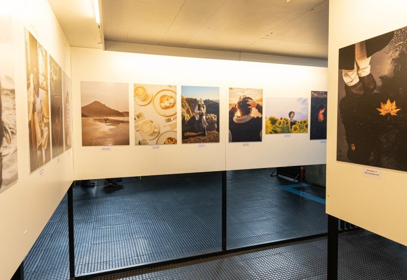 Exhibition Displays